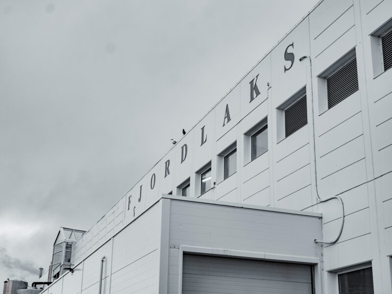 Fjordlaks foto