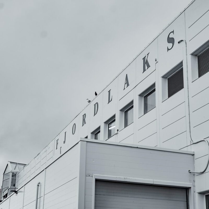 Fjordlaks foto